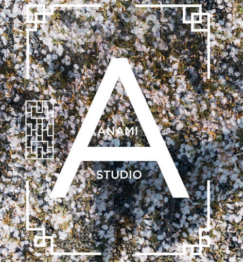ANAMI studio